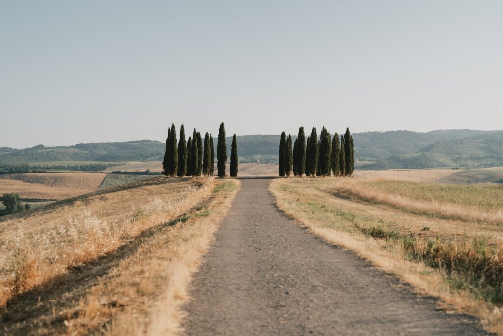 White gravel road leading to the circle of cypresses near San Quirico d'Orcia