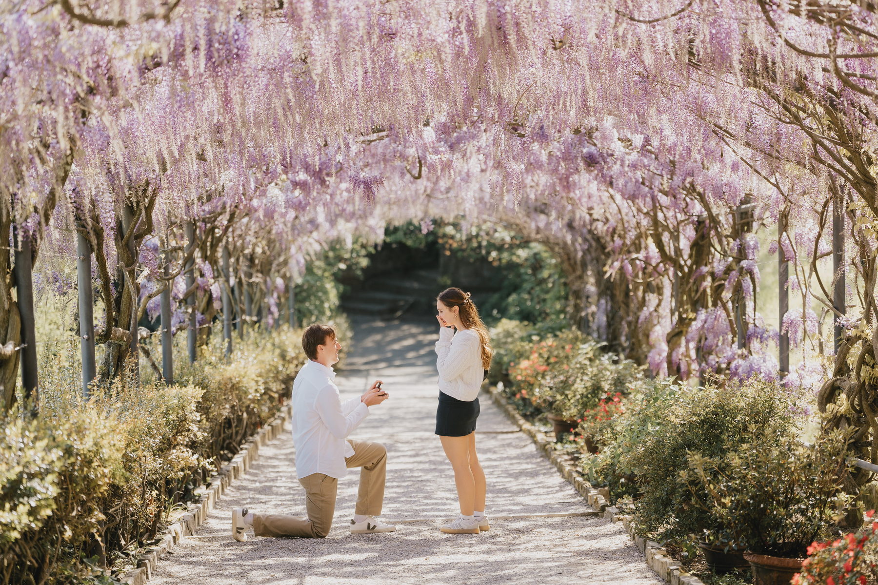 Man on one knee holding a ring box under the blooming wisteria tunnel at Villa Bardini in Florence, she brings her hands to her face
