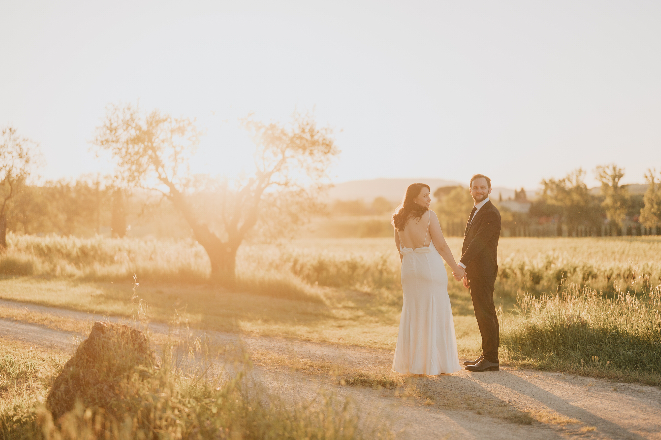 Couple holding hands on a country road beside an olive tree