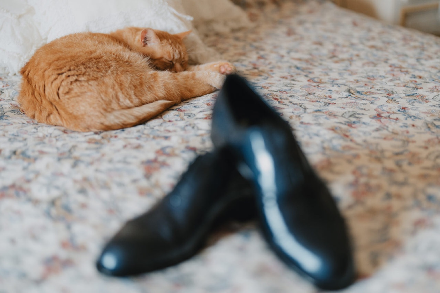 Le scarpe nere dello sposo