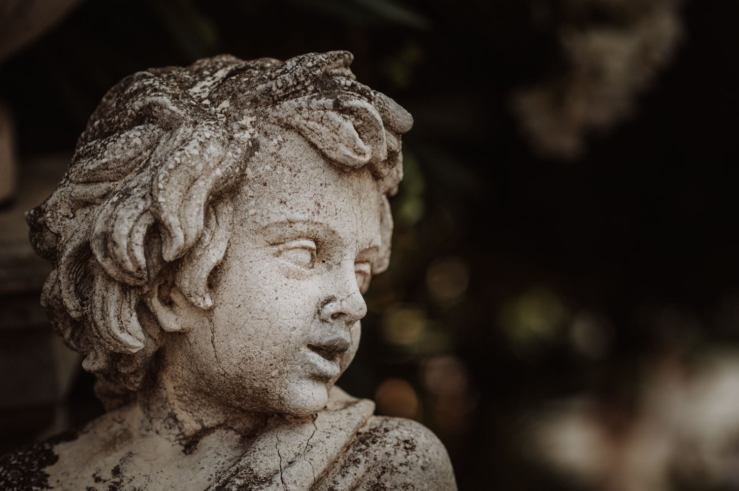 A stone cherub in the garden