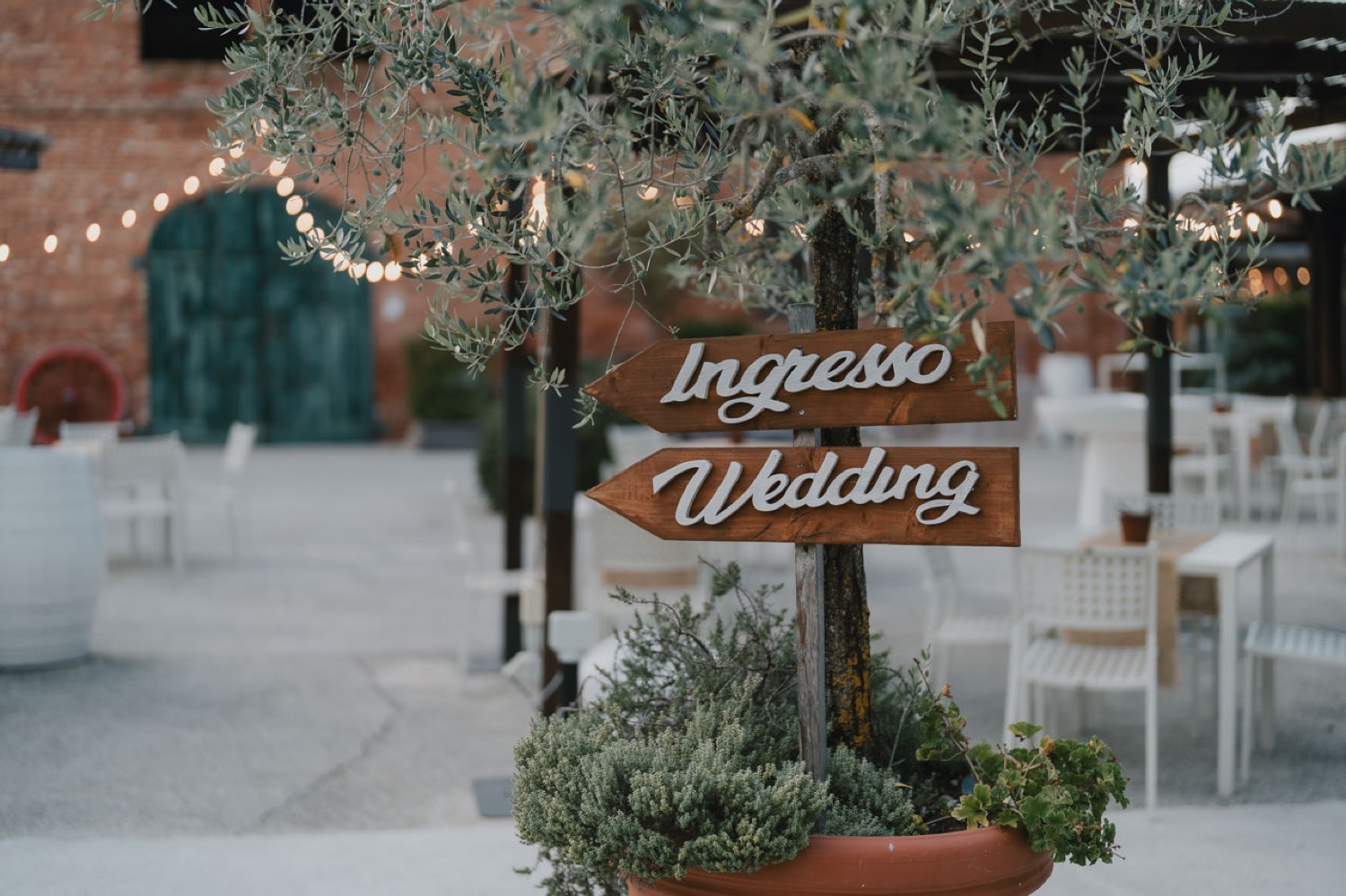 Le indicazioni per il matrimonio sotto l'olivo