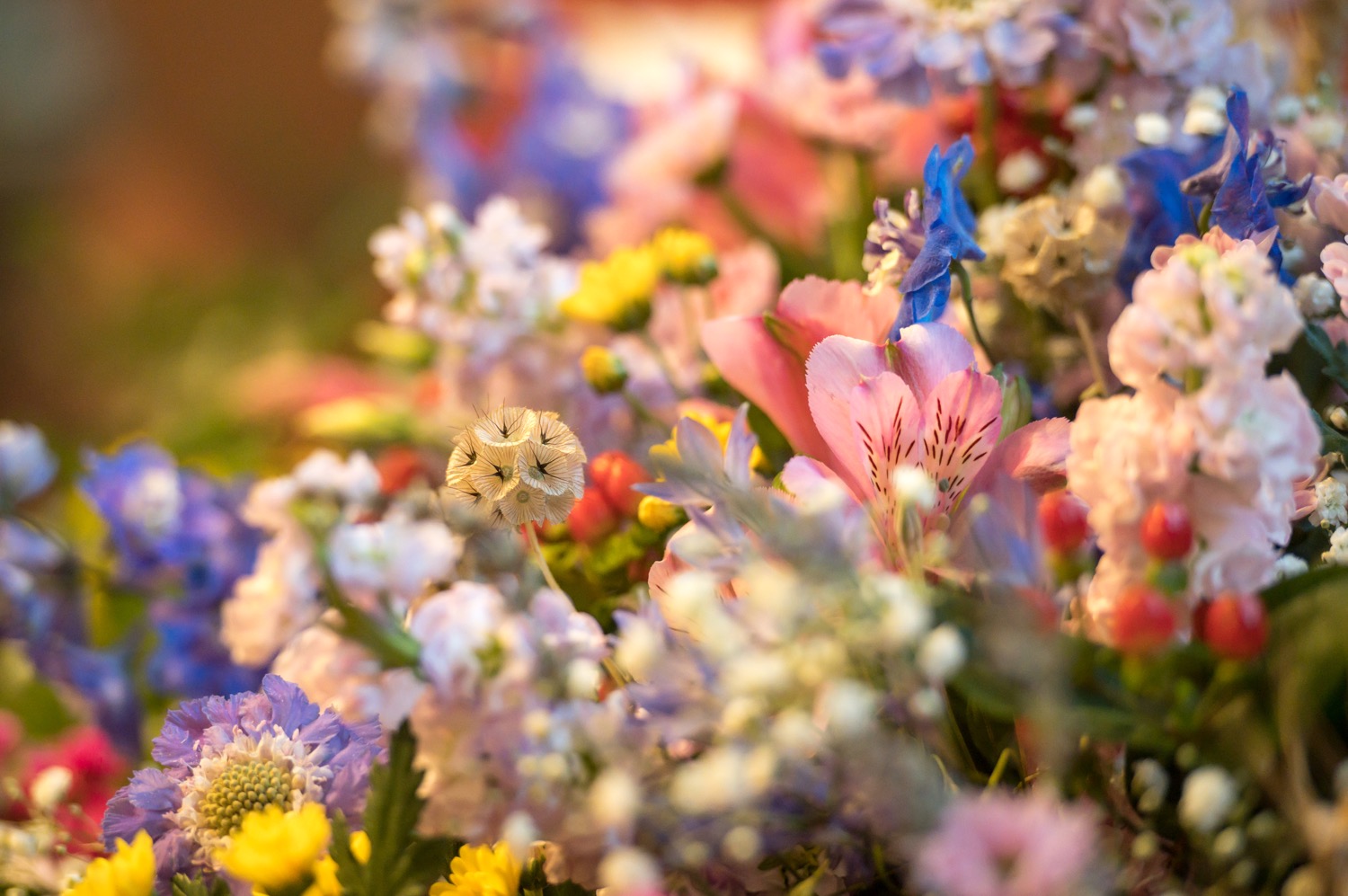 Il bouquet di fiori di campo colorati