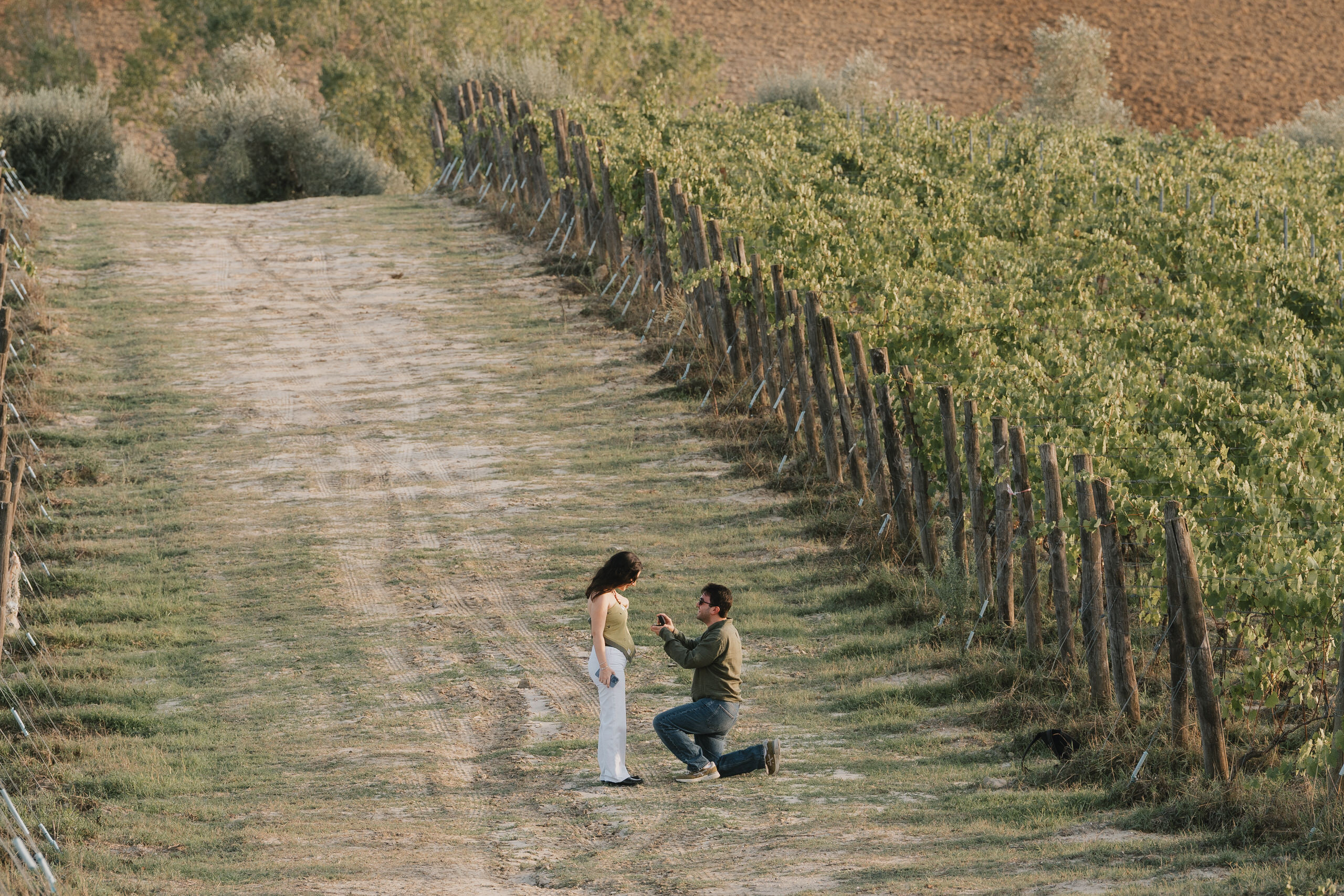 Proposal photos near San Gimignano: a proposal between the vineyard rows at La Mormoraia
