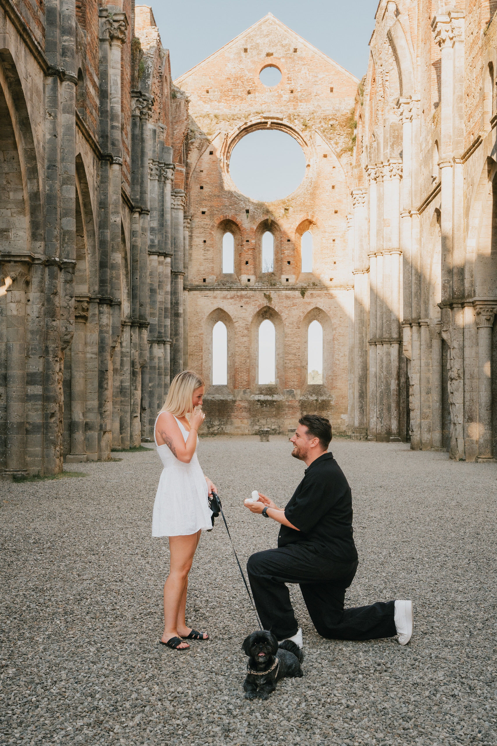 Proposal photos at San Galgano Abbey: a proposal inside the roofless abbey, their dog on a lead beside them
