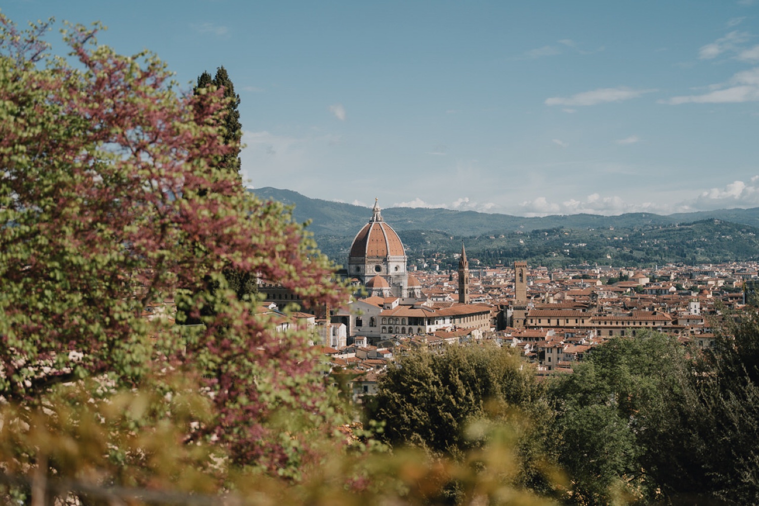 Firenze e il Duomo dal giardino di Villa Bardini