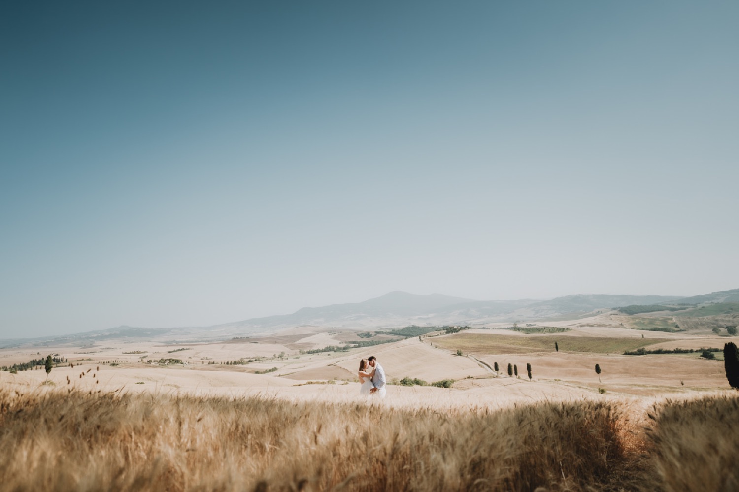 Golden fields of the Val d'Orcia under a blue sky