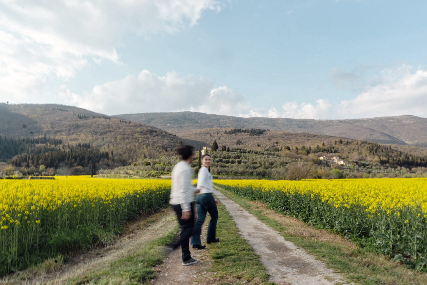 The couple on the path between the flowering fields