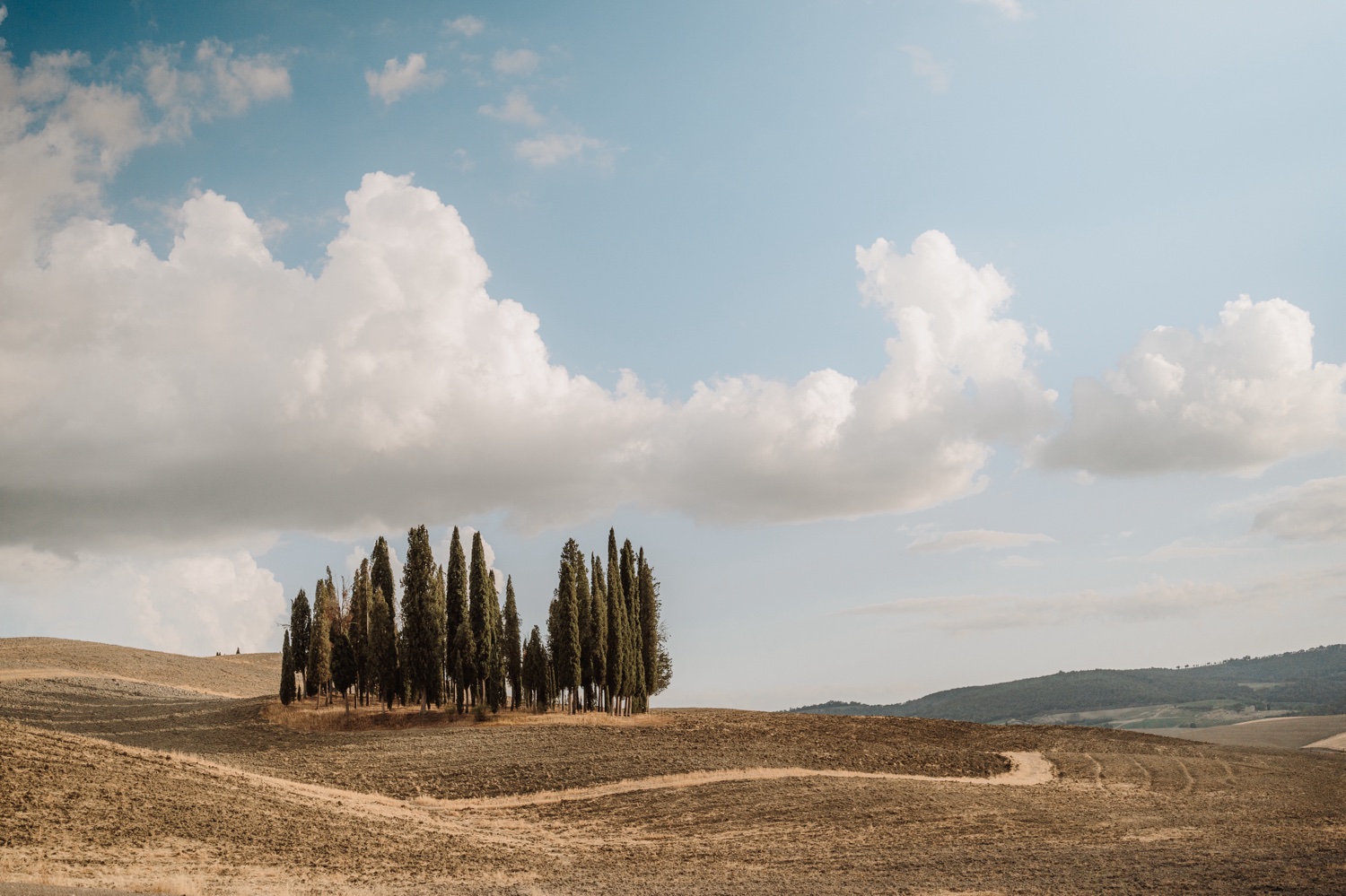Cerchio di cipressi tra i campi della Val d'Orcia sotto un cielo di nuvole