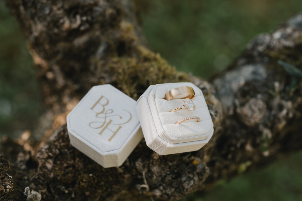 Two ring boxes resting on an olive branch before a Valdichiana elopement