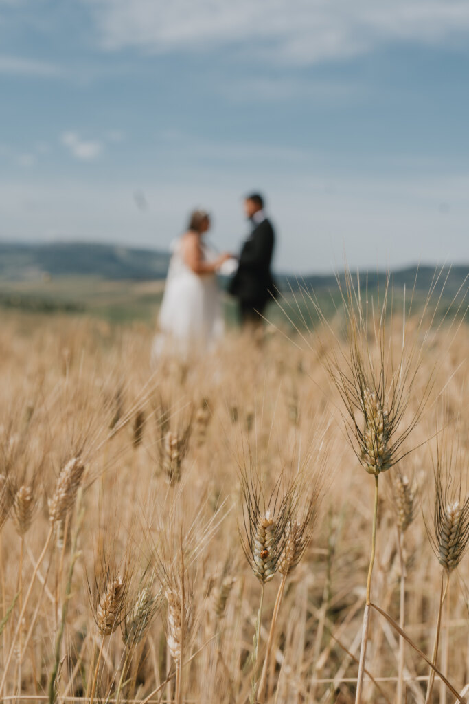 Ears of wheat in focus, the couple exchanging vows blurred behind them